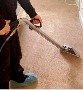 carpet cleaning service